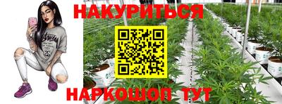 a pvp Донской