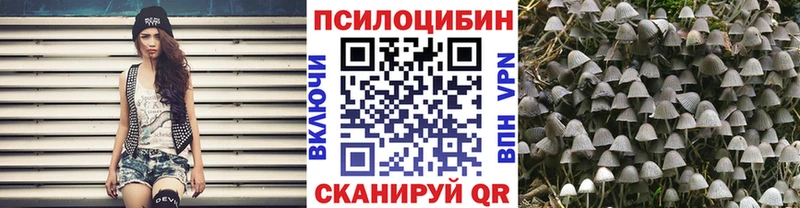 Псилоцибиновые грибы Psilocybe закладка Саяногорск