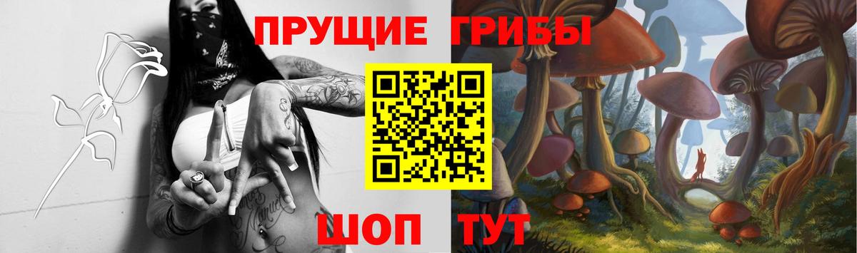 Саяногорск  Псилоцибиновые грибы мухоморы  Вход с VPN  Псилоцибиновые грибы прущие грибы 